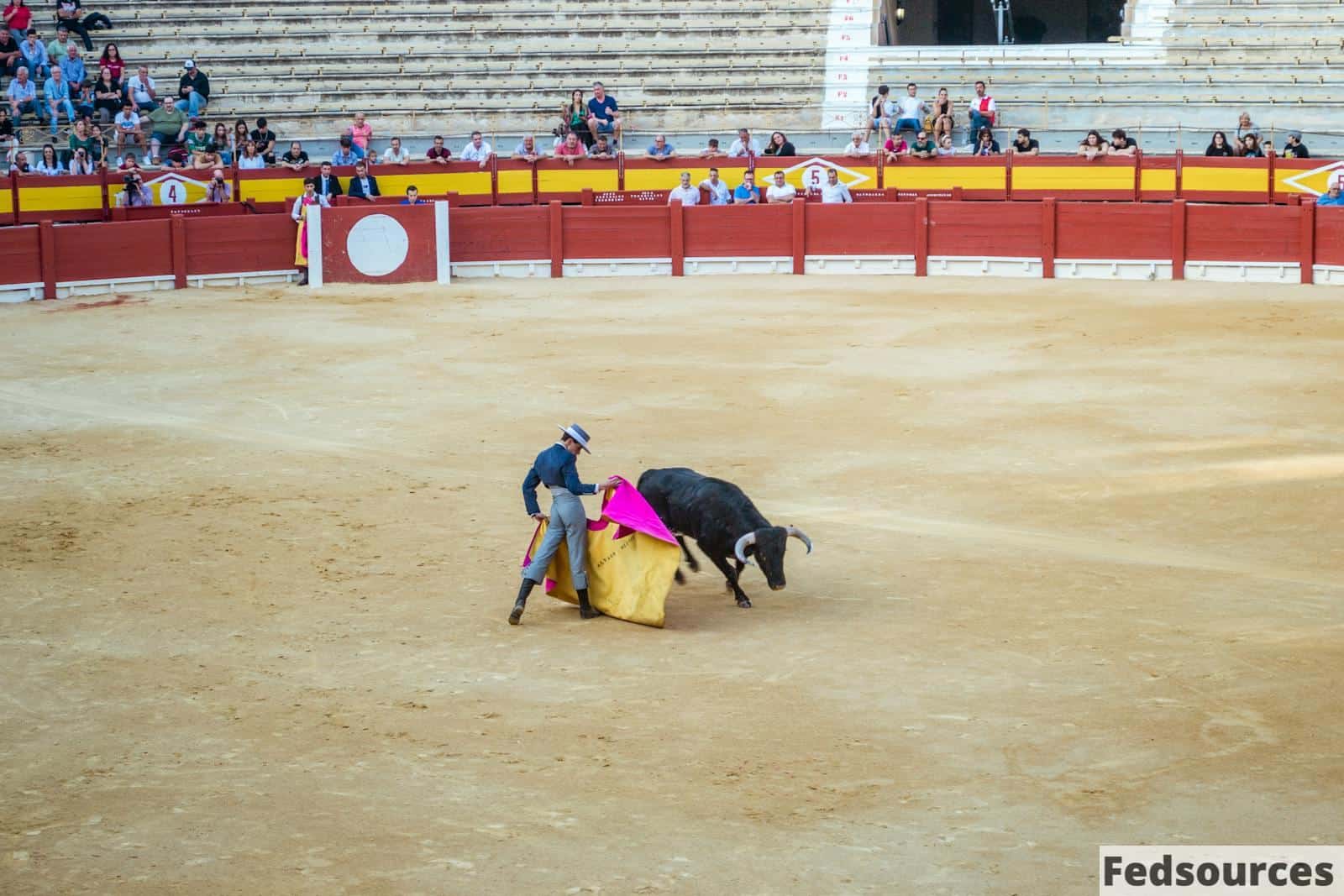 Bullfighting in Spain